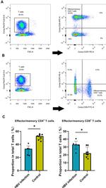 CD197 (CCR7) Antibody in Flow Cytometry (Flow)