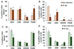 F4/80 Antibody in Flow Cytometry (Flow)