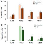 IL-10 Antibody in Flow Cytometry (Flow)