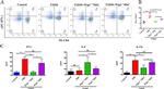 CD4 Antibody in Flow Cytometry (Flow)