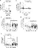 CD8 Antibody in Flow Cytometry (Flow)