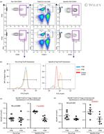 FOXP3 Antibody in Flow Cytometry (Flow)