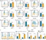 PAX5 Antibody in Flow Cytometry (Flow)