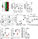 AHR Antibody in Flow Cytometry (Flow)