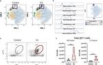 Ly-6G/Ly-6C Antibody in Flow Cytometry (Flow)