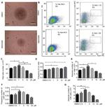 Ly-6A/E (Sca-1) Antibody in Flow Cytometry (Flow)