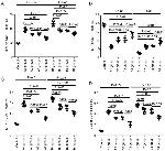 IL-22 Antibody in Flow Cytometry (Flow)