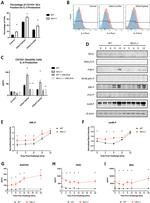 IL-4 Antibody in Flow Cytometry (Flow)