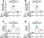 IL-13 Antibody in Flow Cytometry (Flow)