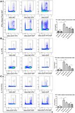 IL-17A Antibody in Flow Cytometry (Flow)