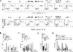 Granzyme B Antibody in Flow Cytometry (Flow)