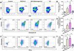 Granulysin Antibody in Flow Cytometry (Flow)