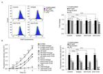 CD282 (TLR2) Antibody in Neutralization (Neu)