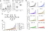 CD279 (PD-1) Antibody in Flow Cytometry (Flow)