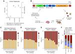 HLA-ABC Antibody in Flow Cytometry (Flow)