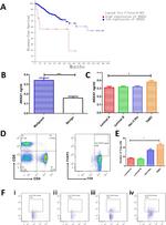 CD4 Antibody in Flow Cytometry (Flow)