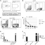 CD8a Antibody in Flow Cytometry (Flow)