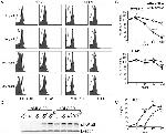 TLR4/MD-2 Complex Antibody in Flow Cytometry (Flow)