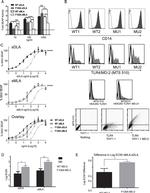 CD90.1 (Thy-1.1) Antibody in Flow Cytometry (Flow)