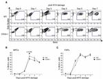 CD34 Antibody in Flow Cytometry (Flow)