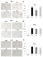 CRP Antibody in Immunohistochemistry (IHC)