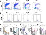 Nestin Antibody in Flow Cytometry (Flow)