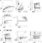 CD45RA Antibody in Flow Cytometry (Flow)