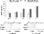 NFAT5 Antibody in Western Blot (WB)