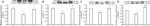 OPRM1 Antibody in Western Blot (WB)