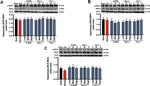 MLKL Antibody in Western Blot (WB)