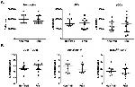 CD123 Antibody in Flow Cytometry (Flow)