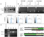 HLA-G Antibody in Flow Cytometry (Flow)