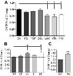 Integrin beta 5 Antibody in Neutralization (Neu)