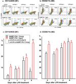 CD206 Antibody in Flow Cytometry (Flow)