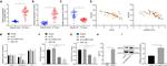 EZH2 Antibody in Immunoprecipitation, ChIP Assay (IP, ChIP)