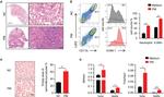 ICAM-1 Antibody in Flow Cytometry (Flow)