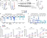 CD300a Antibody in Flow Cytometry (Flow)