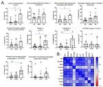 eIF3k Antibody in Immunohistochemistry (IHC)