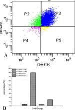 CD24 Antibody in Flow Cytometry (Flow)