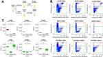 CD63 Antibody in Flow Cytometry (Flow)