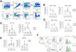 IL-17 A/F Antibody in Flow Cytometry (Flow)