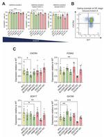 CXCR4 Antibody in Flow Cytometry (Flow)