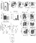 CD11c Antibody in Flow Cytometry (Flow)