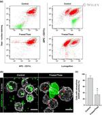 CD11c Antibody in Flow Cytometry (Flow)