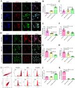 Arginase 1 Antibody in Flow Cytometry (Flow)