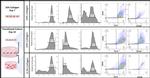 CD146 Antibody in Flow Cytometry (Flow)