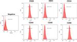 CD31 Antibody in Flow Cytometry (Flow)