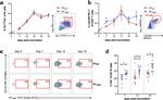 CD95 (APO-1/Fas) Antibody in Flow Cytometry (Flow)