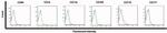 CD105 (Endoglin) Antibody in Flow Cytometry (Flow)