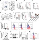 F4/80 Antibody in Flow Cytometry (Flow)